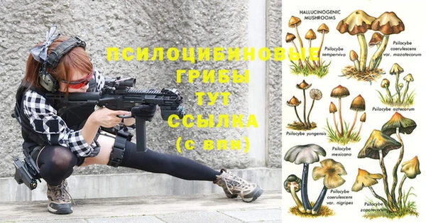 герыч Алексеевка