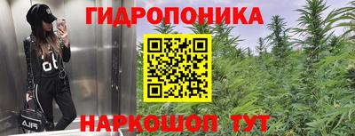 ПСИЛОЦИБИНОВЫЕ ГРИБЫ Канаш