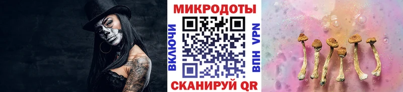 Псилоцибиновые грибы мицелий  mega tor  Магнитогорск 