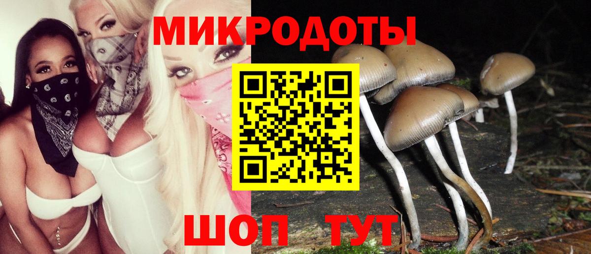 Псилоцибиновые грибы Cubensis  Галлюциногенные грибы Magic Shrooms  наркошоп  Вход с VPN  Магнитогорск 